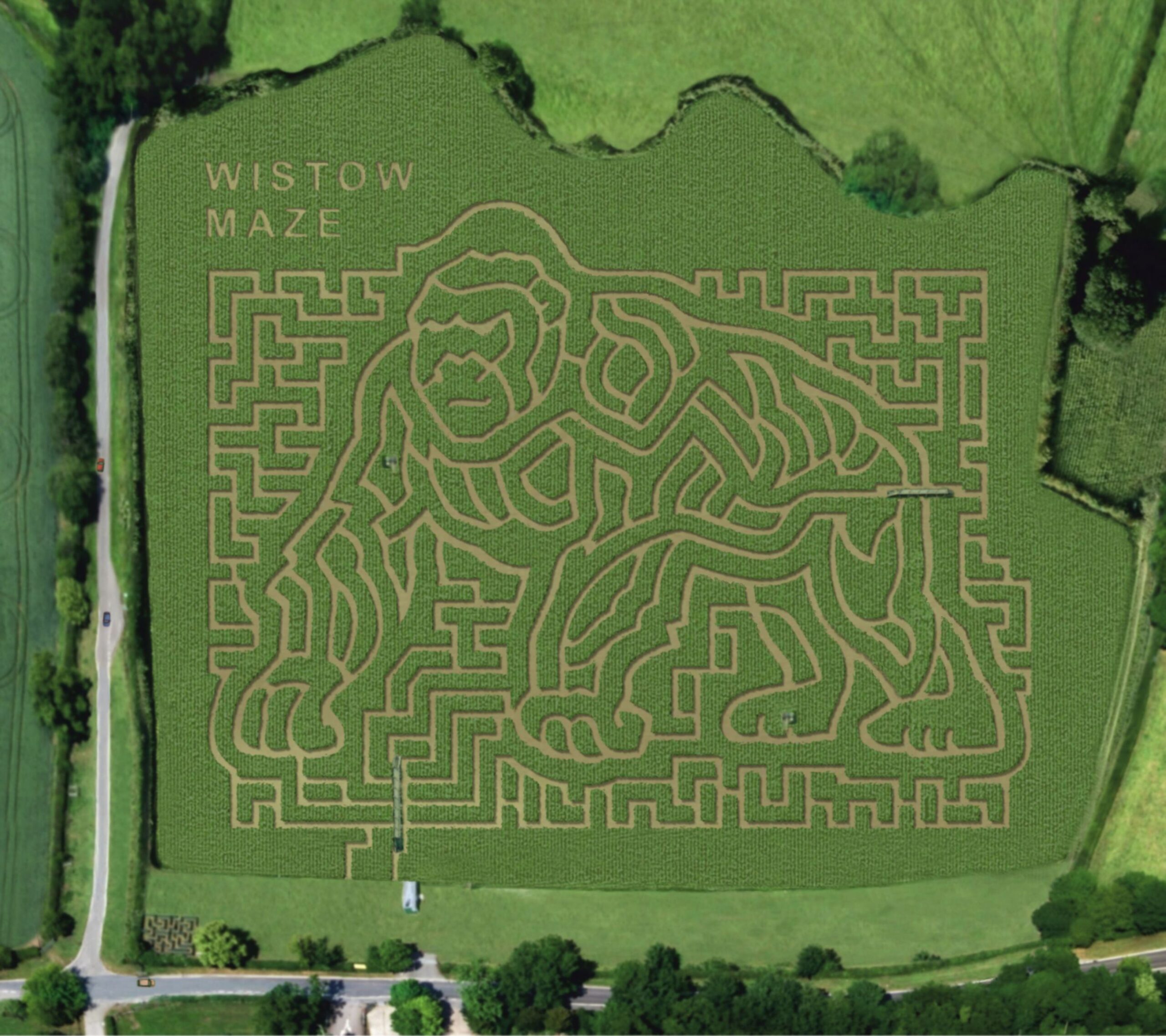 Aerial view of the Gorilla shaped maze