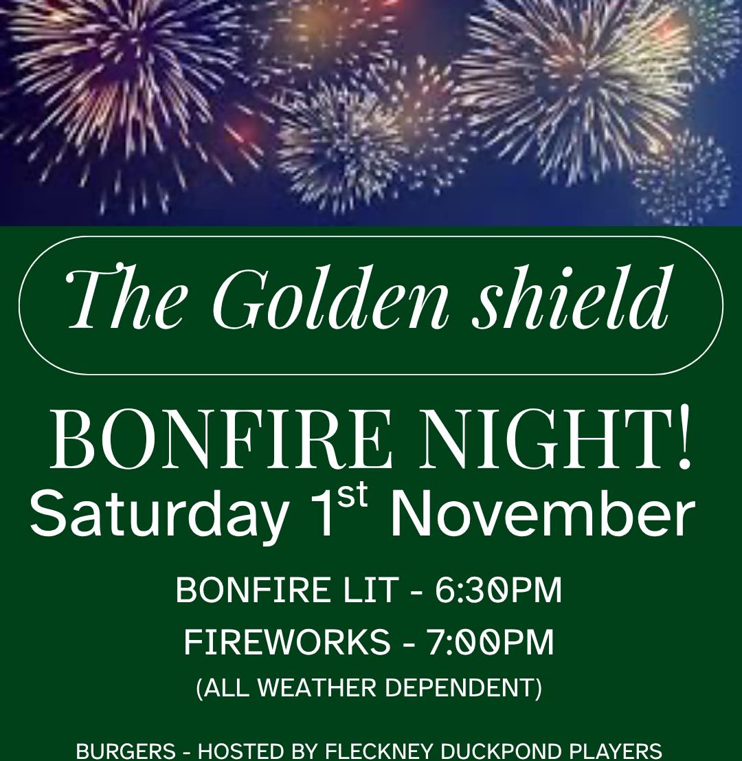Bonfire night poster